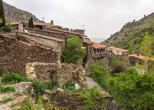 Патонес в Мадриде