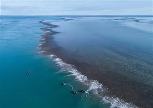 Риф Монтгомери, чудесное место в Кимберли.