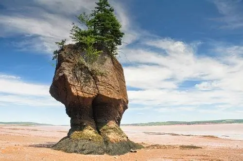 Залив Фанди в Канаде