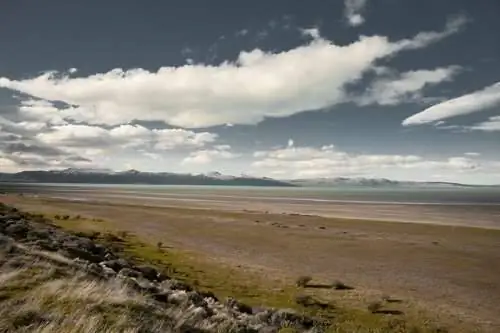 Аргентинские пампасы