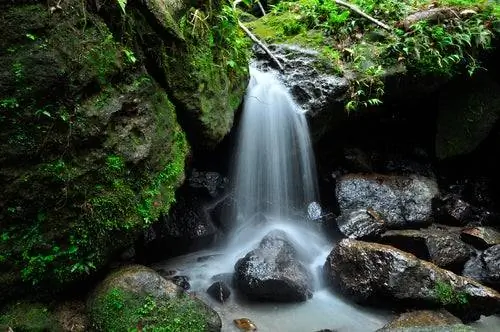 Эль Юнке в Пуэрто-Рико