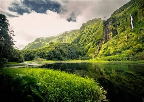 Флорес, красивый пейзаж на Азорских островах.