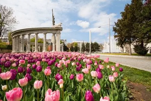 Шварценбергплац в Вене
