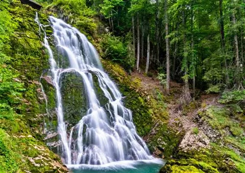 Водопады Гиссбах расположены в Изельтвальде, Швейцария.