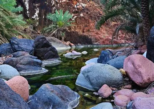 Впечатляющий каньон на острове Сокотра, Йемен.