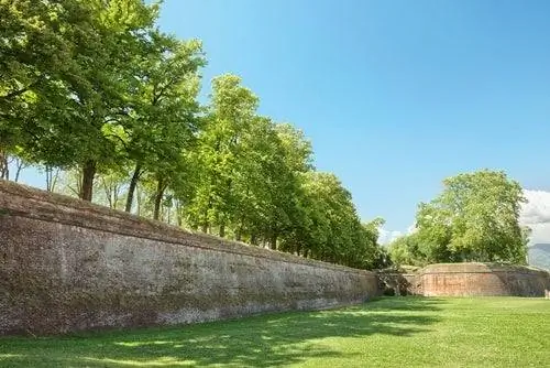 Стена Лукки