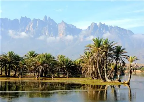 Сокотра, один из самых неизвестных островов