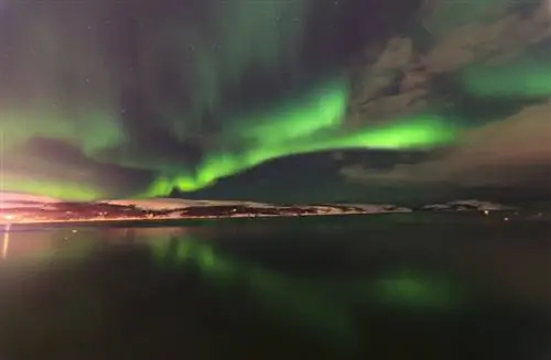 Увидеть северное сияние в Исландии - сказочное зрелище.