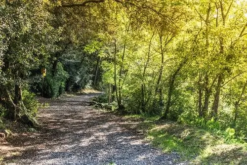 La Garrotxa - фанкифрогсток