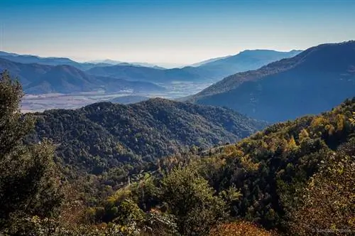 Гарроча