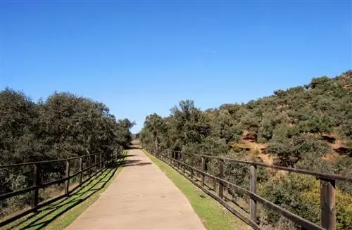 Природный парк Сьерра-Норте выделяется своей флорой и фауной.