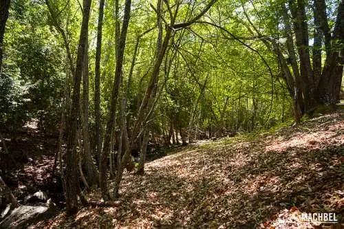 Геопарк Вильуэркас