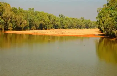 Крокодилы обитают в озерах национального парка Винджанского ущелья.