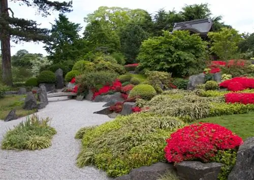 5 диковин лондонского ботанического оазиса