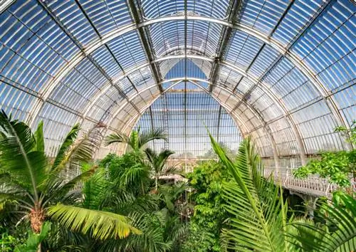 В Пальмовом доме растут растения, привезенные исследователями.