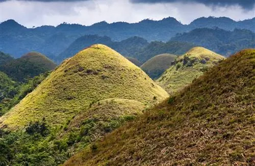 Как образовались Филиппинские шоколадные холмы?