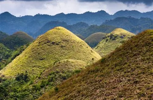 Как образовались Филиппинские шоколадные холмы?