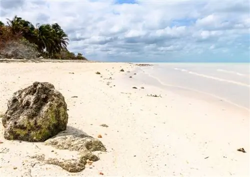 Пляжи Кампече: рай