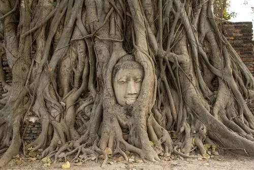 Храм в Аюттайе