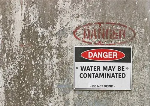 Сибирские Мальдивы опасны из-за загрязненных вод.