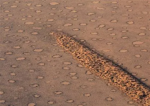 Сказочные круги Намибии - уникальное зрелище