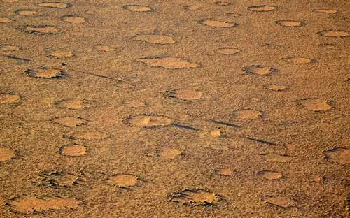 Сказочные круги Намибии долгое время оставались необъяснимыми.