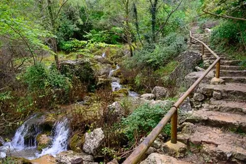 Лос-Каларес-дель-Рио-Мундо представляет собой один из лучших природных парков Испании.