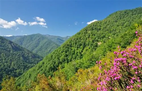 6 природных парков Испании, которые вам стоит посетить