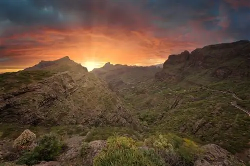 Вуэльтас-де-Таганана: знакомство с канарскими джунглями