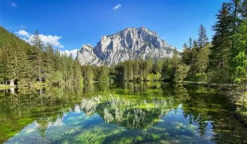 Зеленое озеро или Грюнер-Зее в Австрии, нереальный альпийский пейзаж