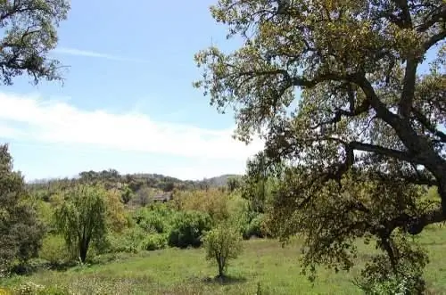 Сьерра-де-Арасена