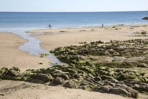 Сент-Эндрюс-Бич