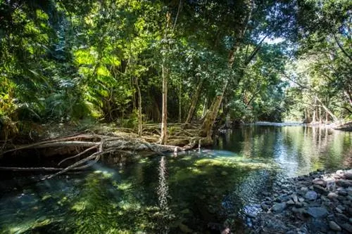 Национальный парк Дейнтри в Австралии