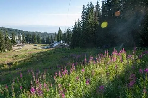 Витоша в Болгарии