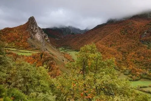 Природный парк Сомьедо