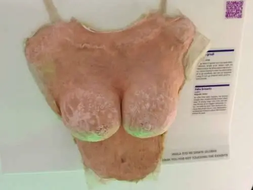 Музей разорванных отношений