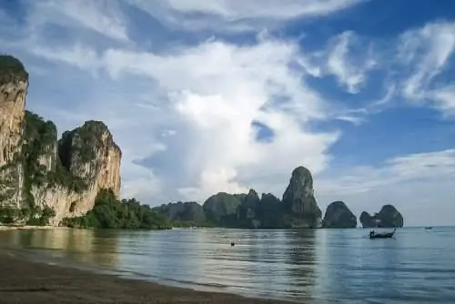 Тонсай в Рейли