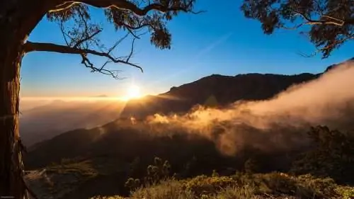 Крест Техеды