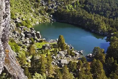 Черная лагуна