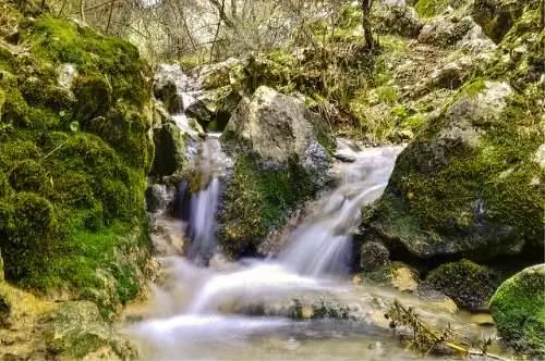 Арройо Морено