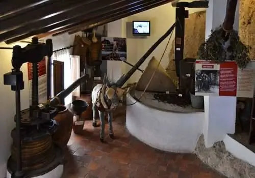 Гуадалестский этнологический музей