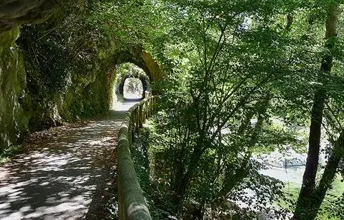 Идем Медвежьей тропой в Теверге