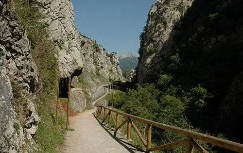 Медвежья тропа