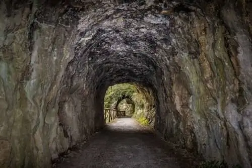 Медвежья тропа