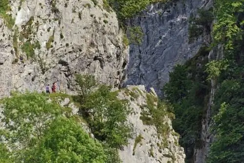 Медвежья тропа