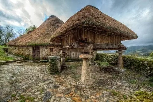 Паллосас в Лос-Анкаресе
