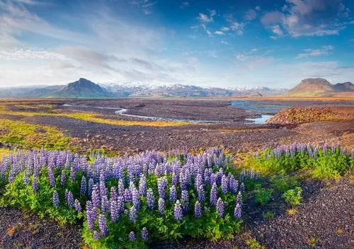 8 вещей, которые вы можете увидеть и сделать в Исландии