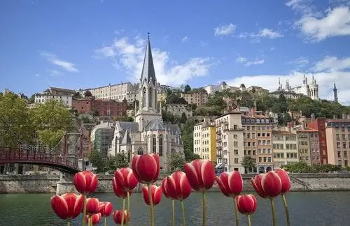 Лион во Франции