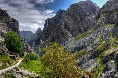 Маршрут забот