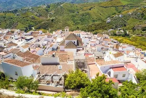 Фрихилиана
